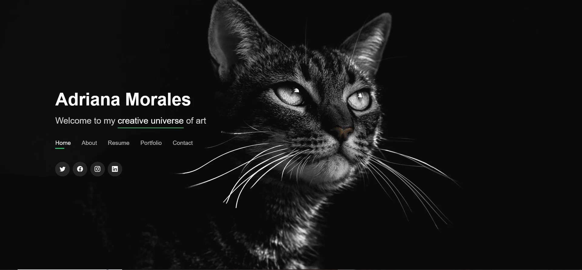 Adriana Morales portfolio homepage: black and white cat photo with the artist's name and menu